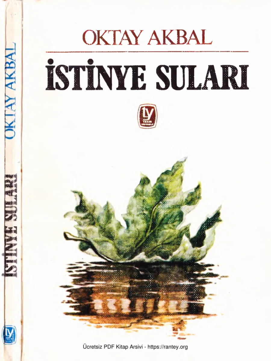 İstinye Suları kapak görseli