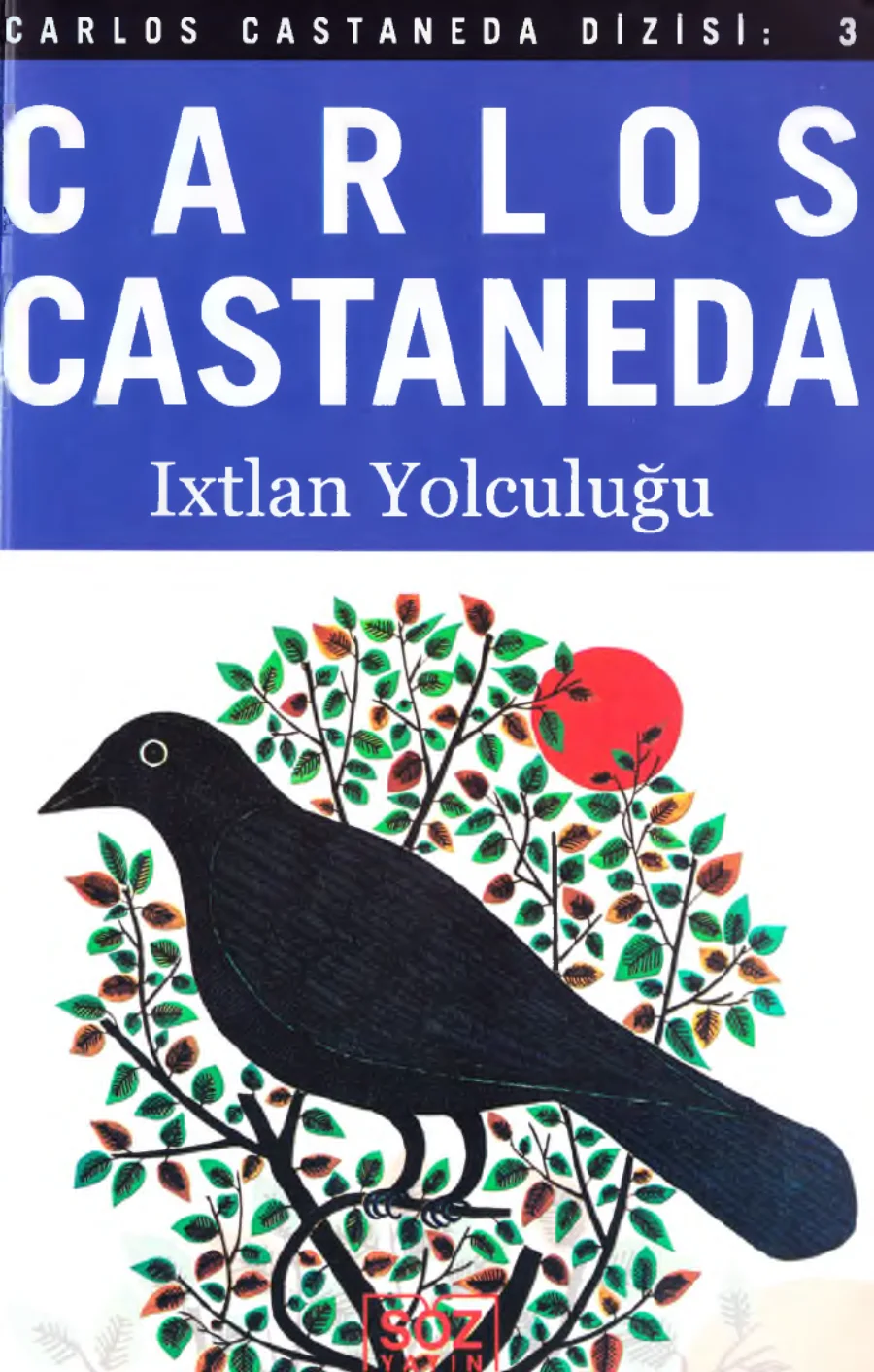 Ixtlan Yolculuğu PDF kapak görseli