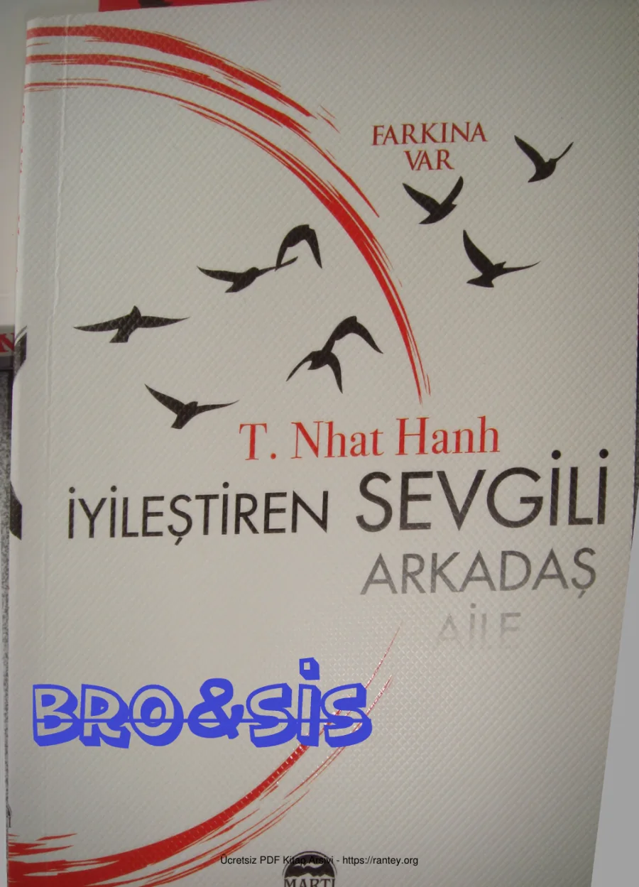 İyileştiren Sevgili kapak görseli