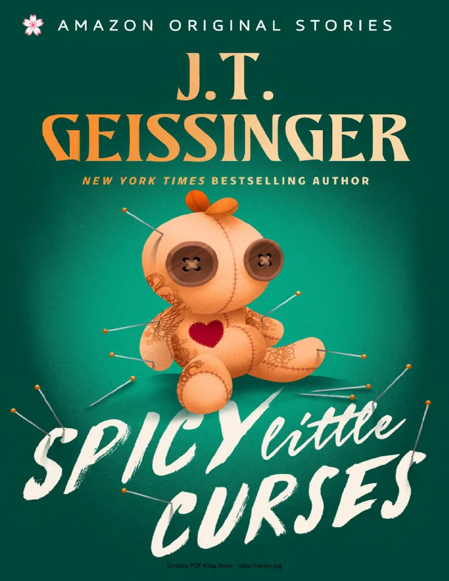 J T Geissinger Spicy Little Curses kapak görseli