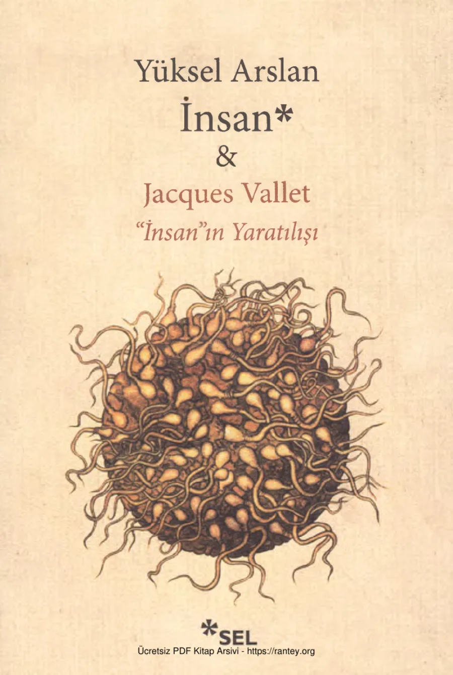 Jacques Vallet İnsanın Yaratılışı kapak görseli