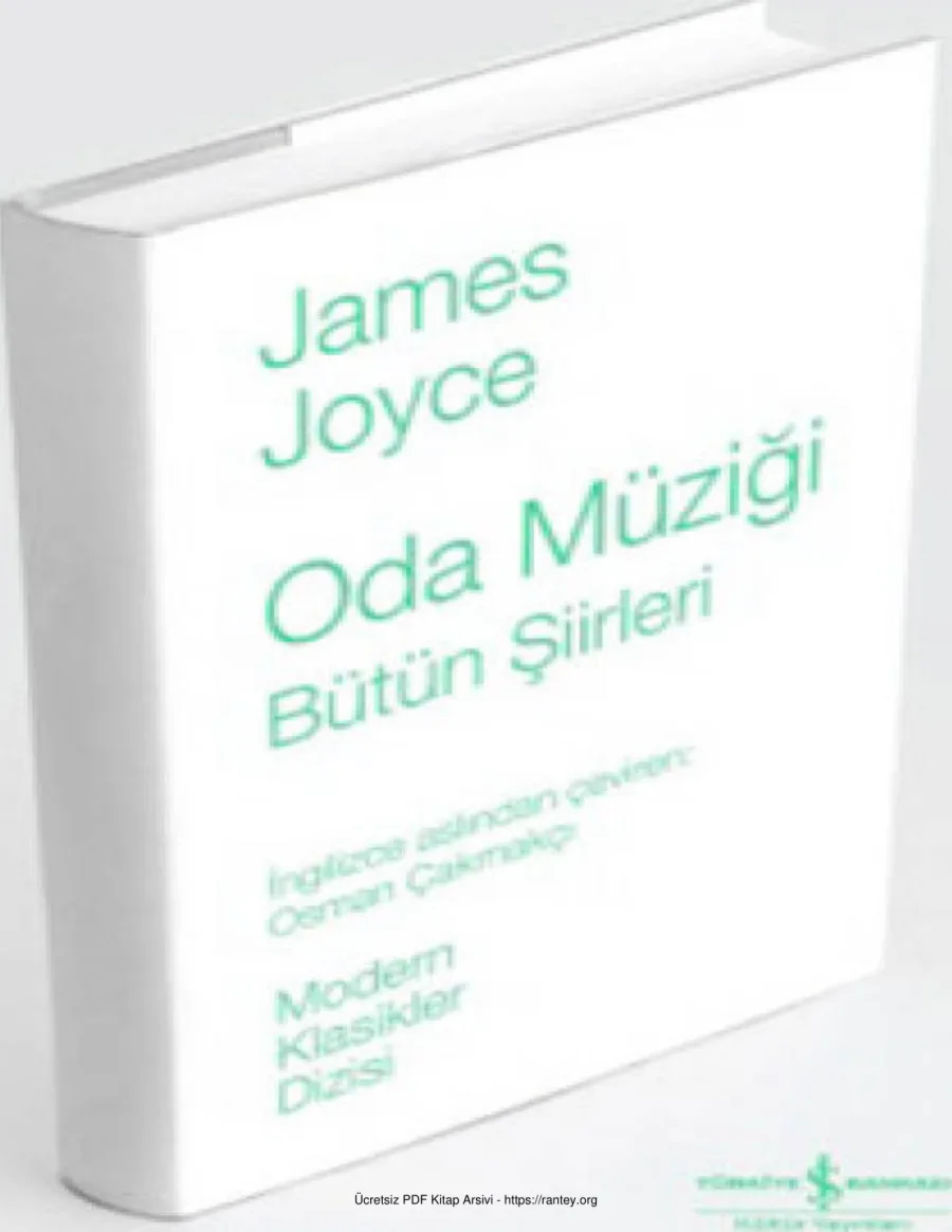 James Joyce kapak görseli