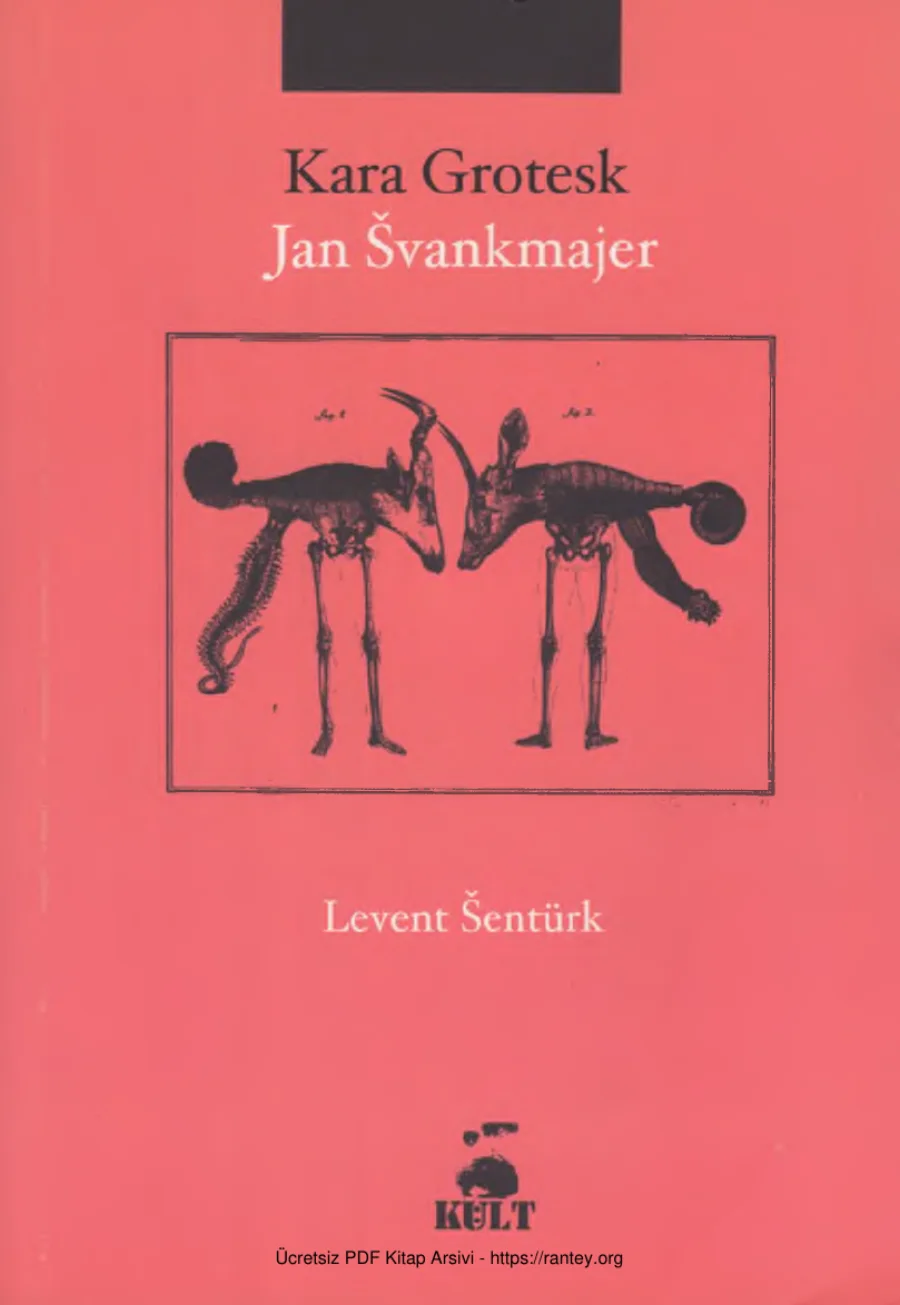 Jan Svankmajer Kara Gotesk kapak görseli