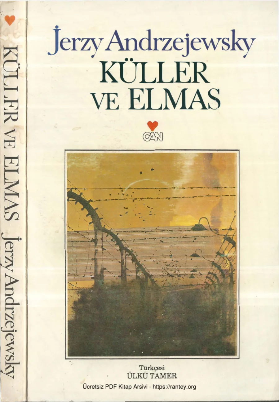 Jerzy Andrzejewsky Küller ve Elmas kapak görseli