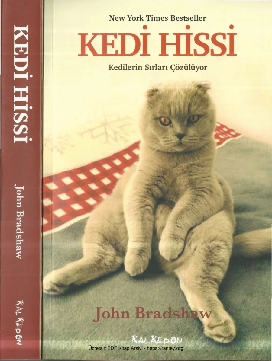 John Bradshaw Kedi Hissi kapak görseli