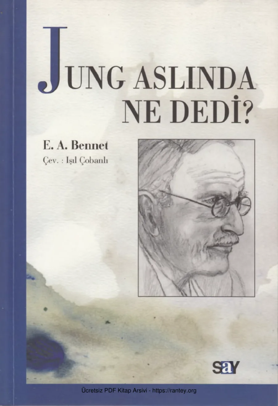 Jung Aslında Ne Dedi kapak görseli