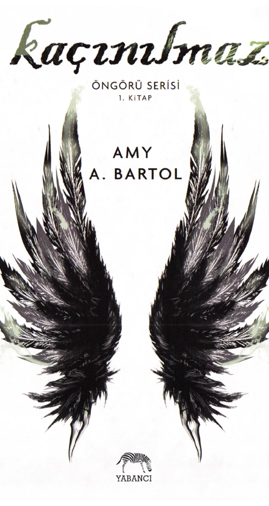 Kaçınılmaz kapak görseli