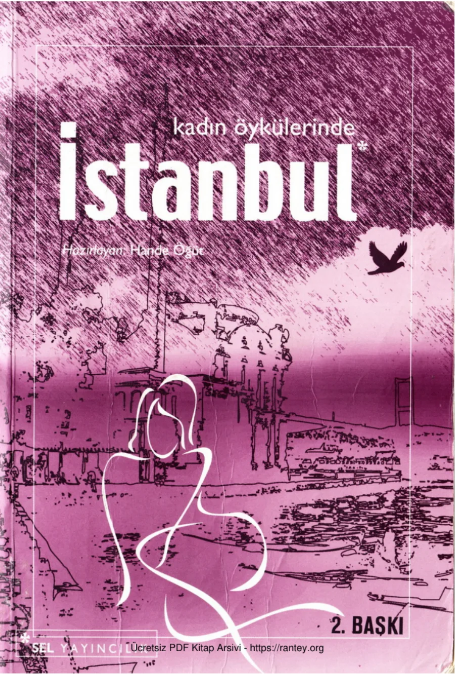 Kadın Öykülerinde İstanbul kapak görseli
