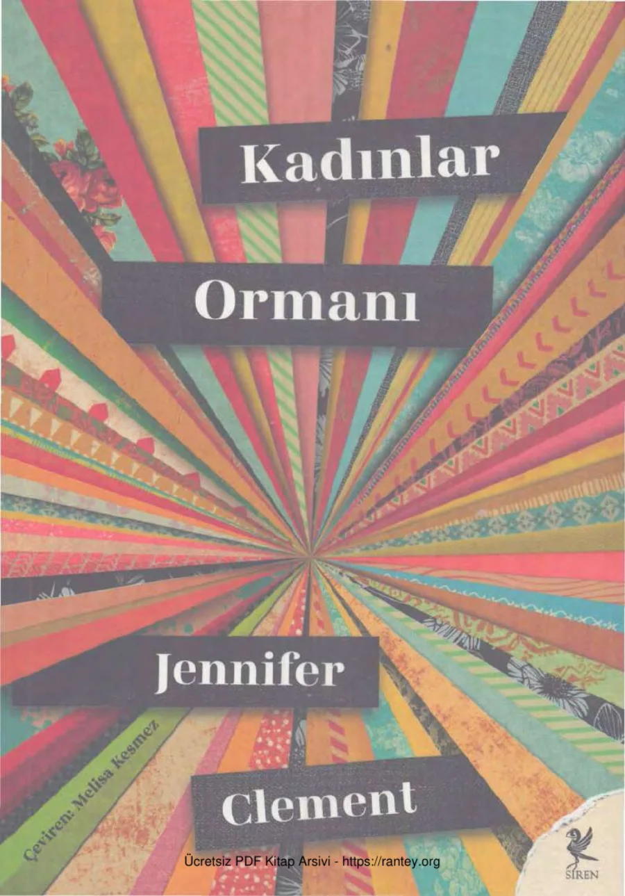 Kadınlar Ormanı kapak görseli