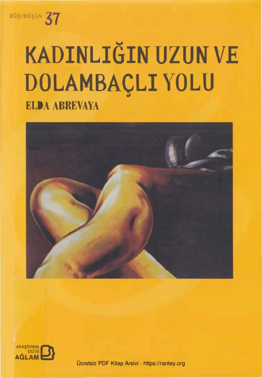 Kadınlığın Uzun ve Dolambaçlı Yolu kapak görseli