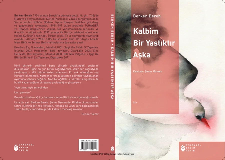 Kalbim Bir Yastıktır Aşka kapak görseli