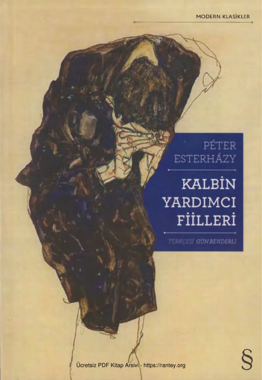 Kalbin Yardımcı Filleri kapak görseli