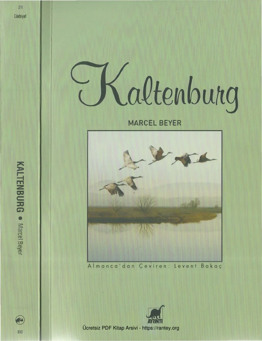 Kaltenburg kapak görseli