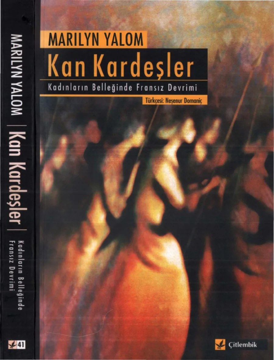 Kan Kardeşler kapak görseli