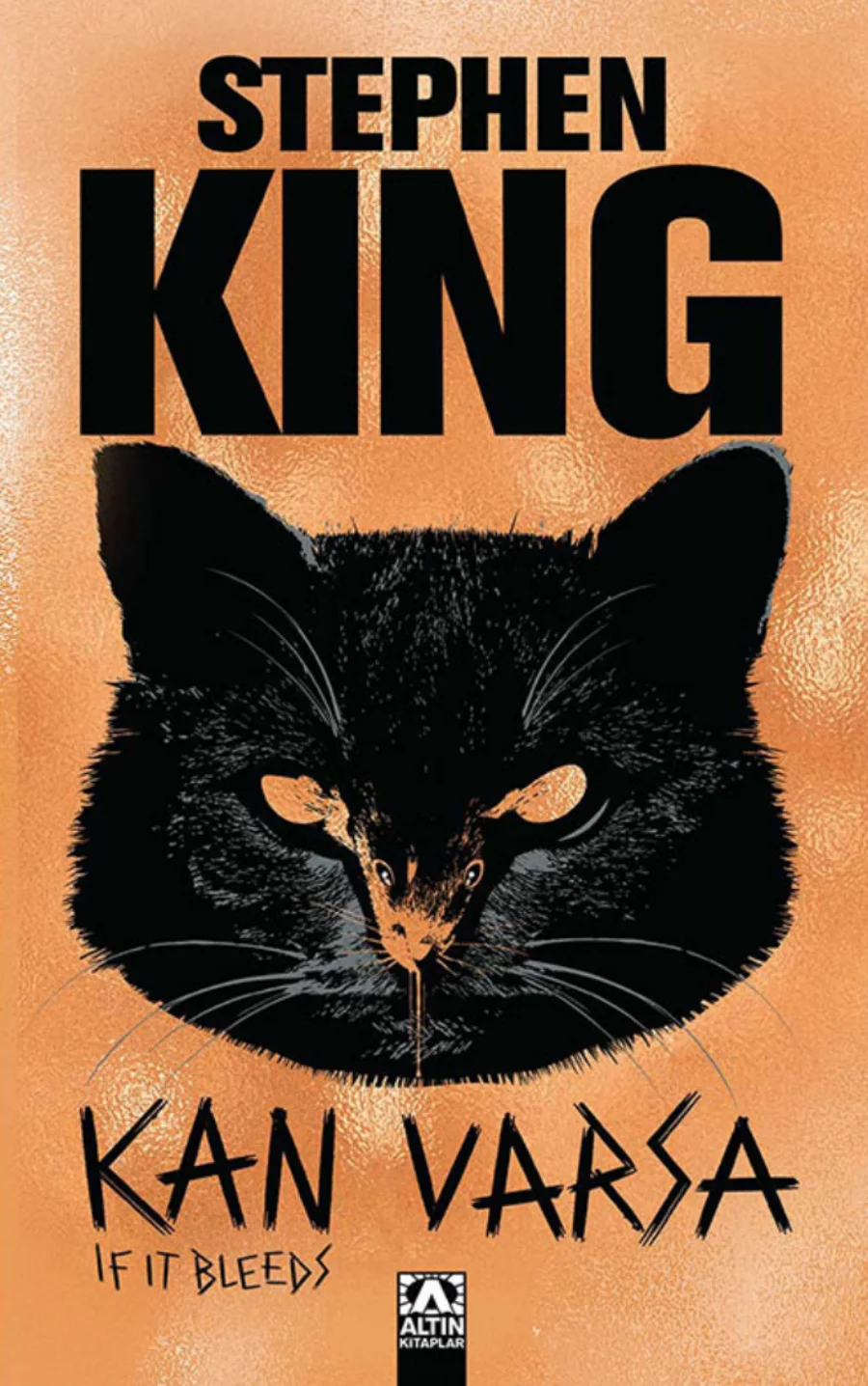 Kan Varsa kitap kapağı
