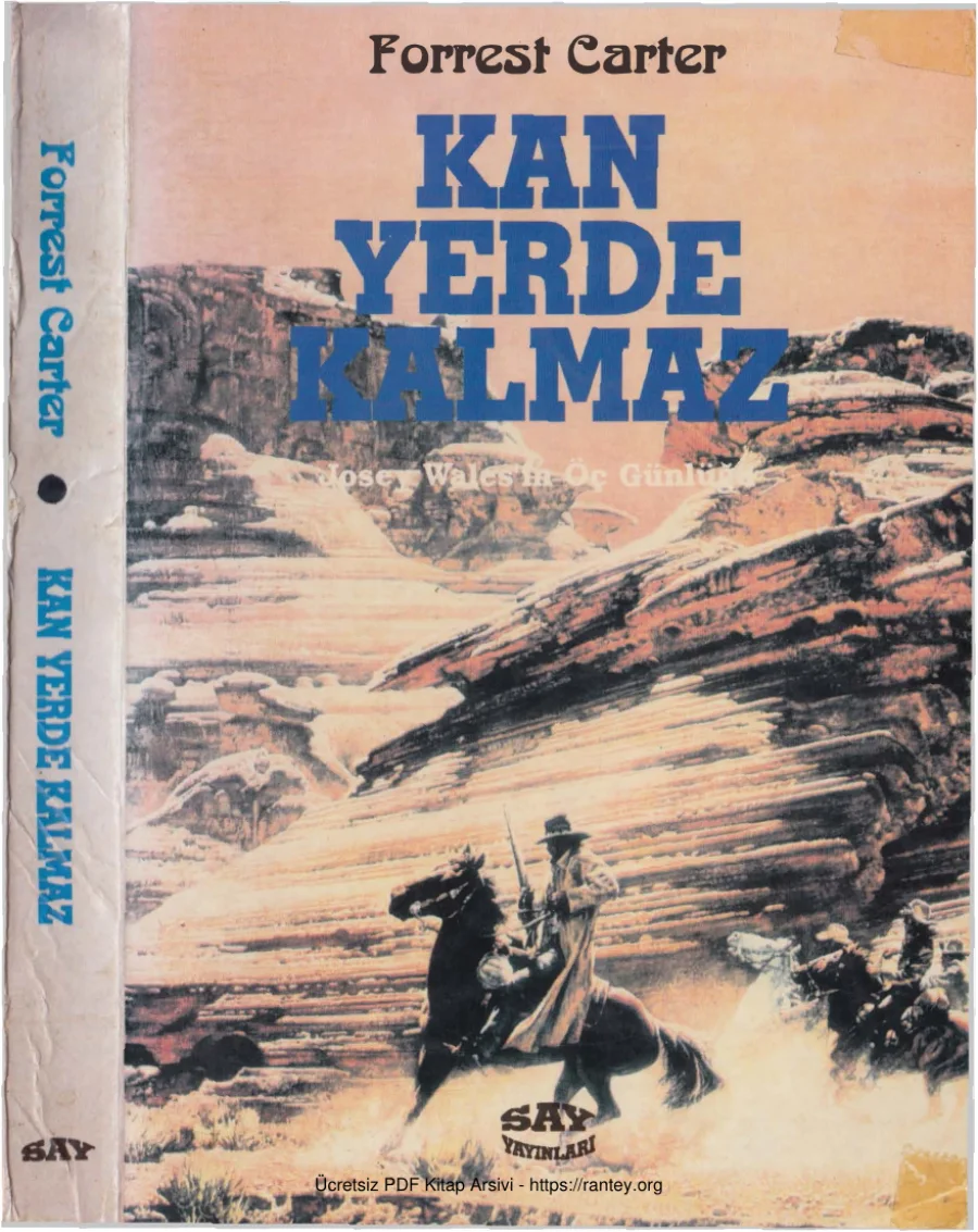 Kan Yerde Kalmaz Josef Walesin Öç Günlüğü kapak görseli