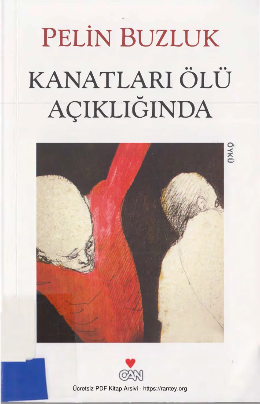 Kanatları Ölü Açıklığında kapak görseli
