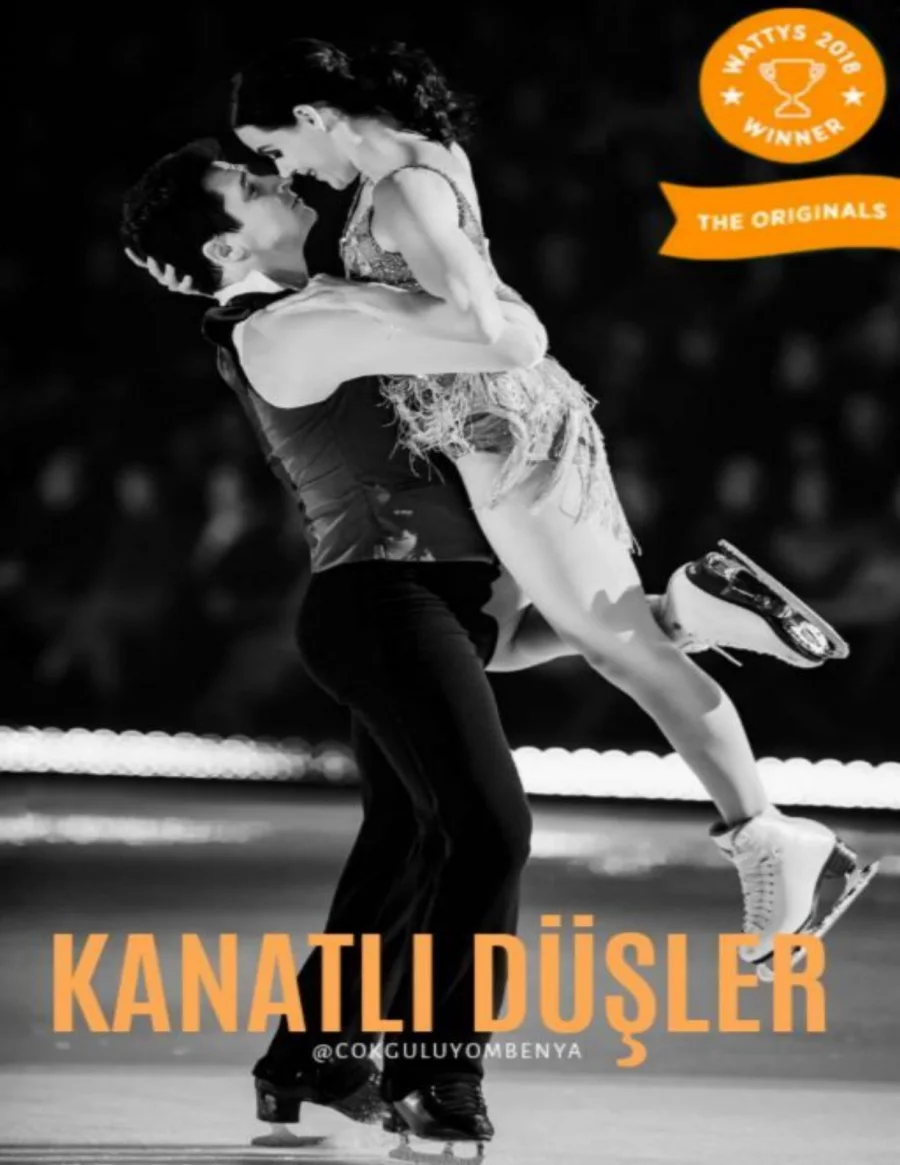 Kanatlı Düşler Kalplerdenritimlerserisi4 kapak görseli