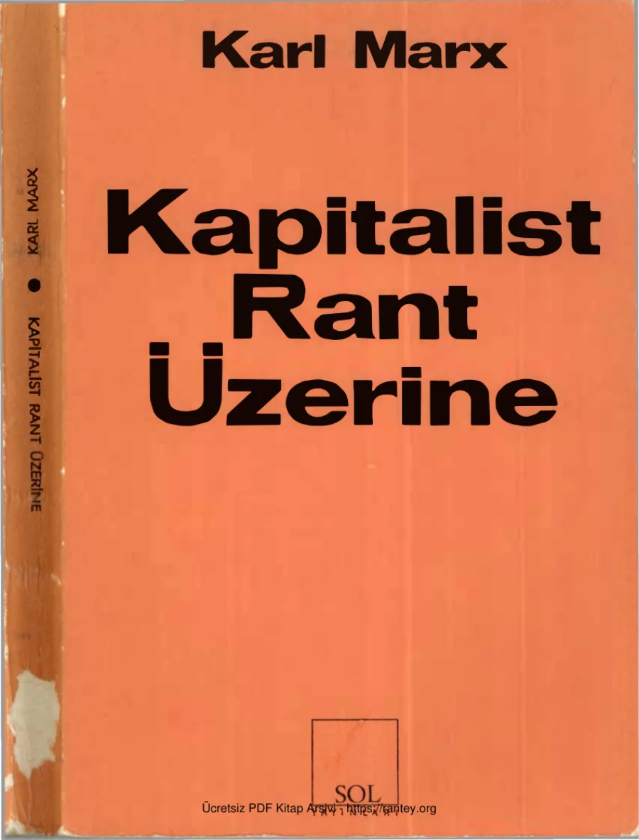 Kapitalist Rant Üzerine kapak görseli