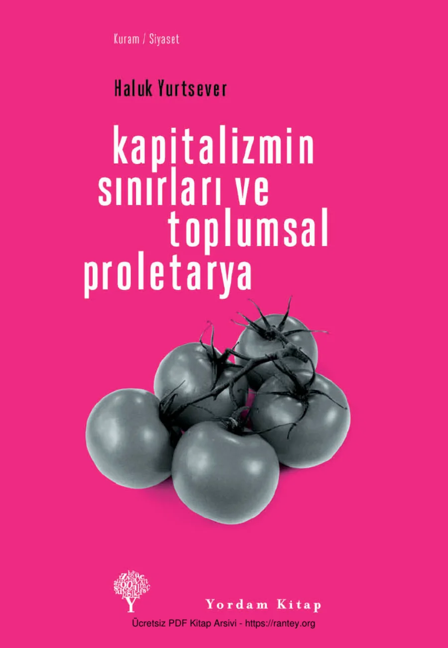 Kapitalizmin Sınırları ve Toplumsal Proletarya kapak görseli