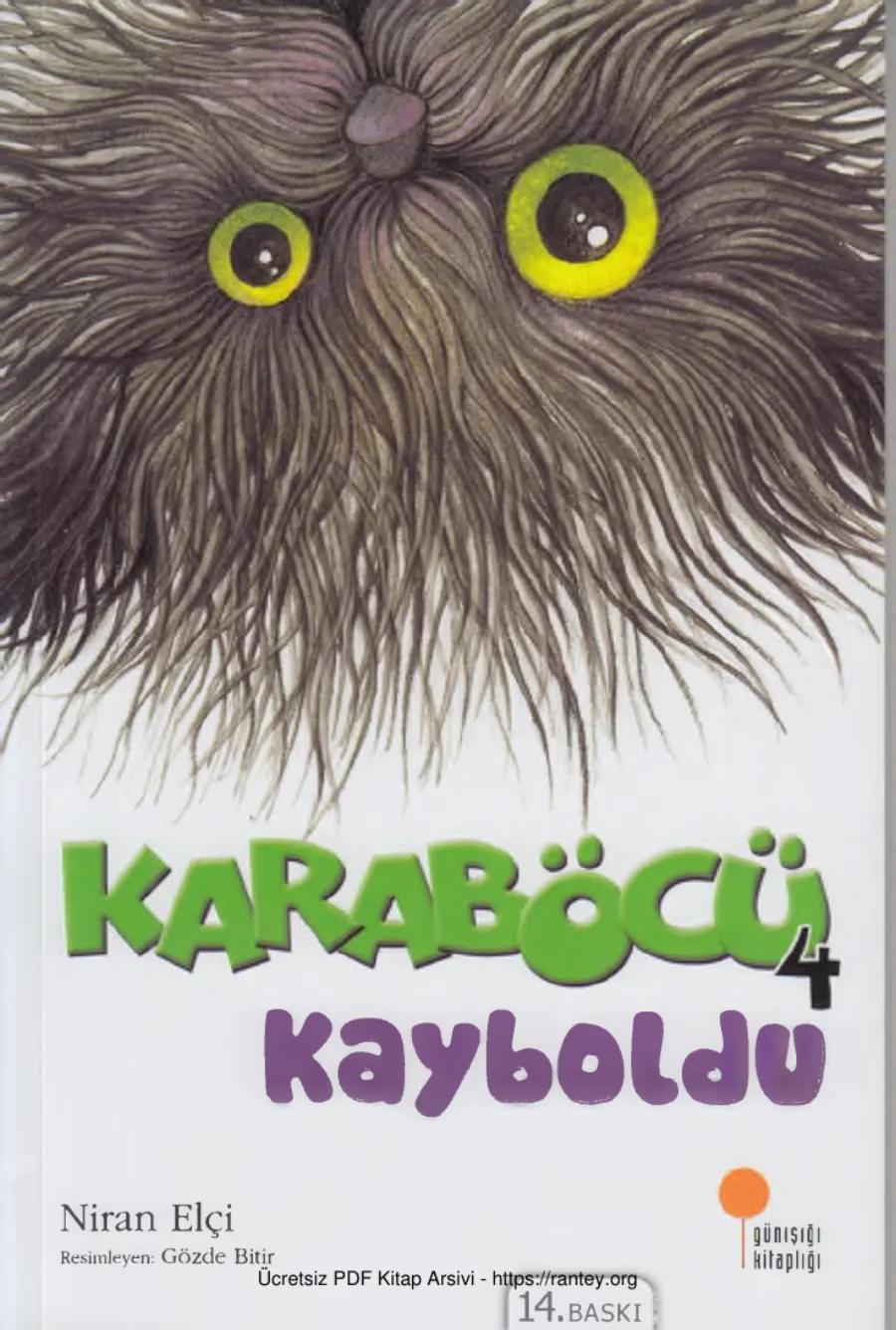 Kara Böcü IV Karaböcü Kayboldu kapak görseli