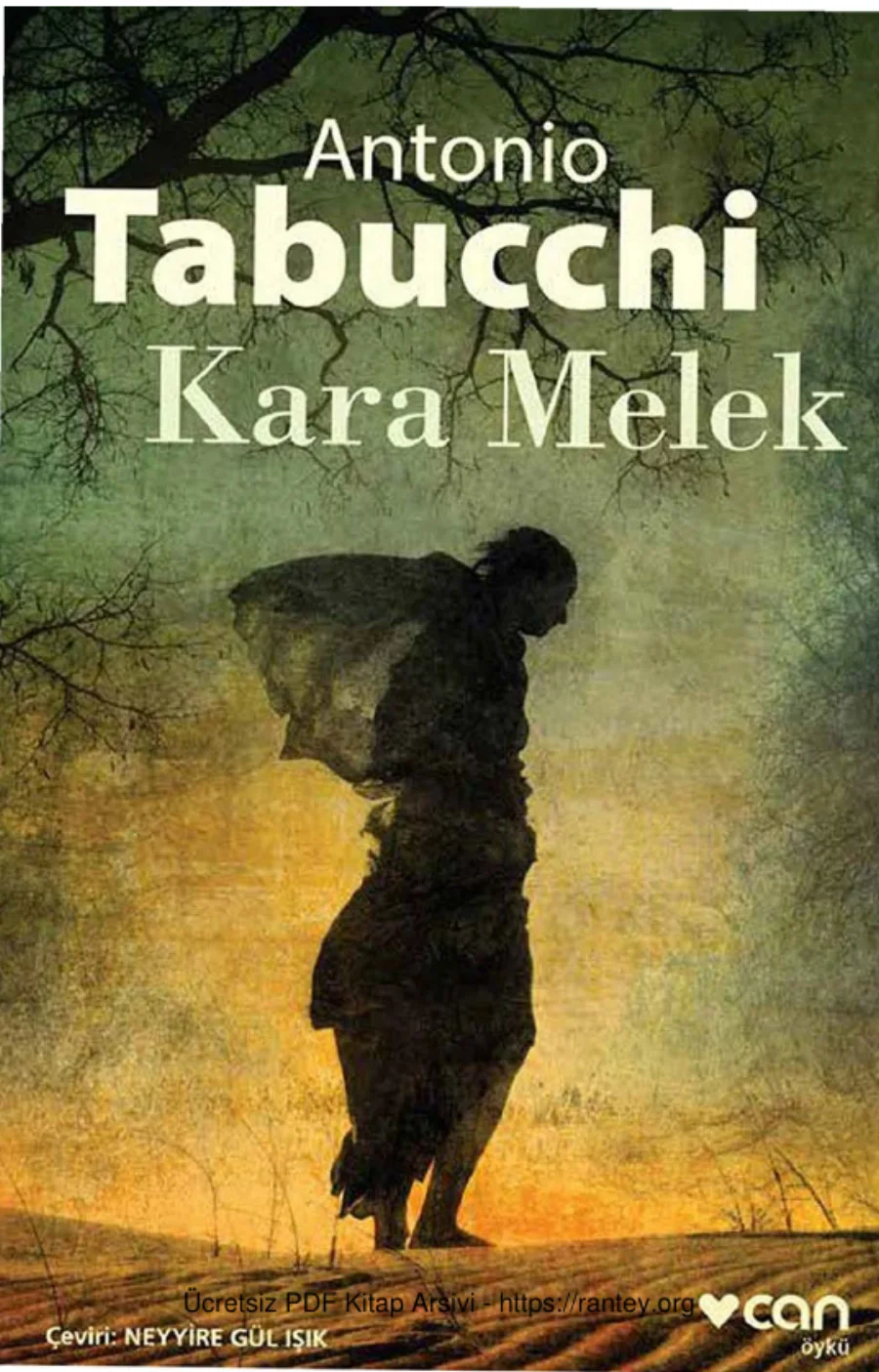 Kara Melek kapak görseli