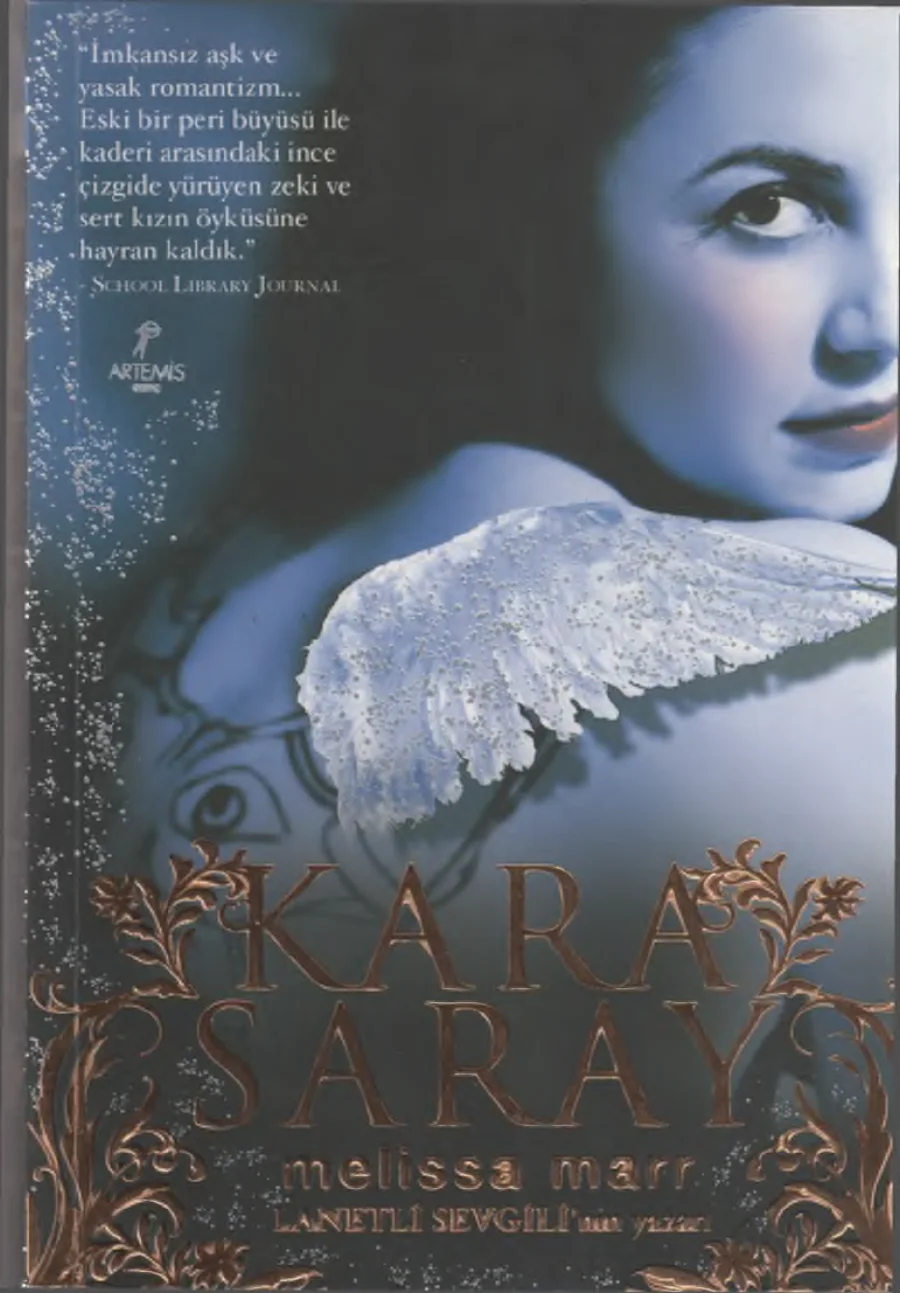 Kara Saray kapak görseli