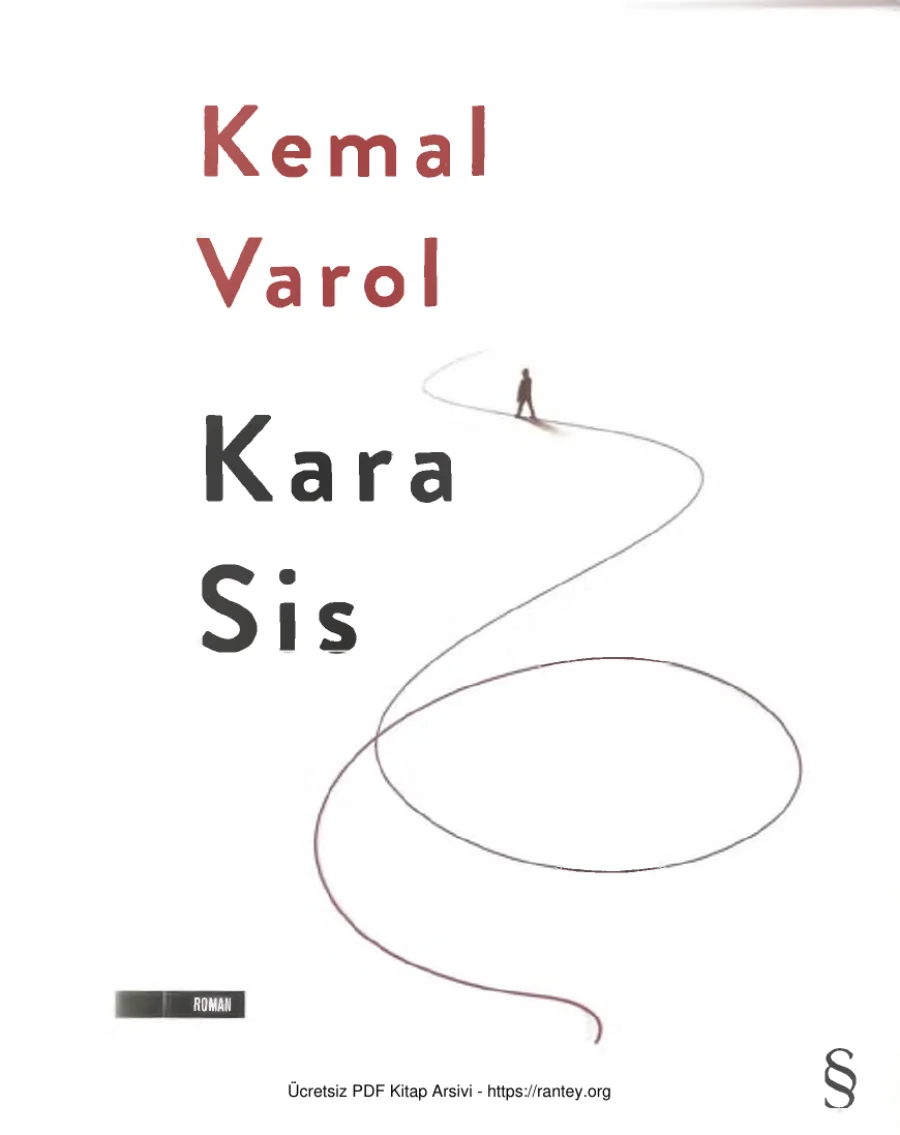 Kara Sis kapak görseli