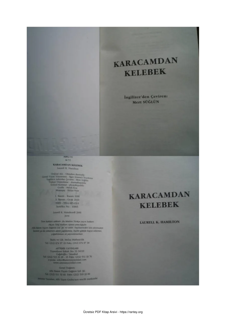Karacamdan Kelebek kapak görseli