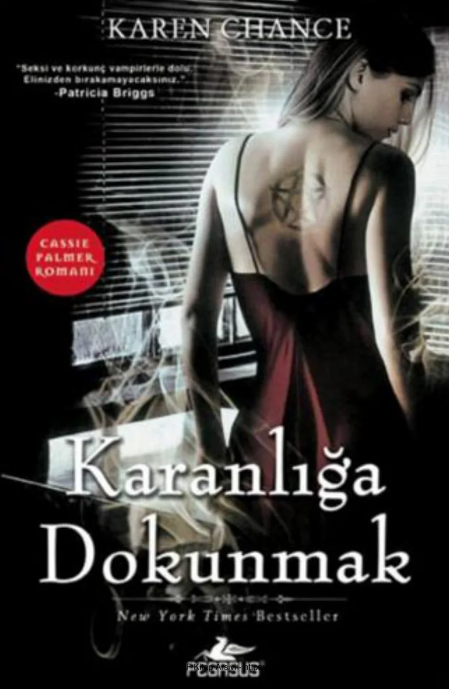 Karanlığa Dokunmak kapak görseli