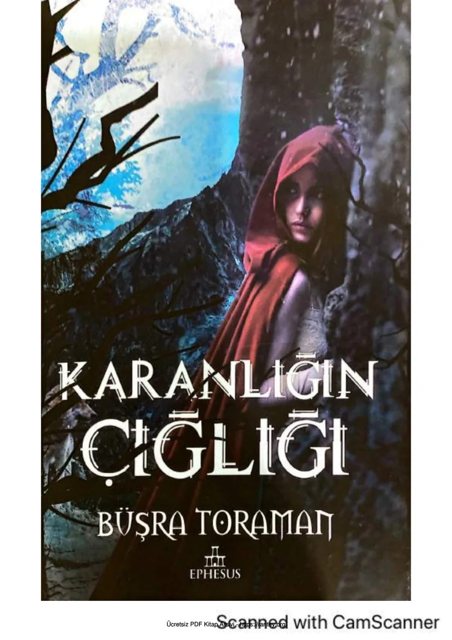 Karanlığın Çığlığı kapak görseli