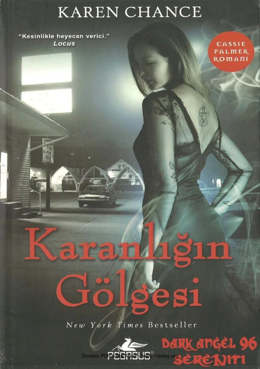 Karanlığın Gölgesi kapak görseli