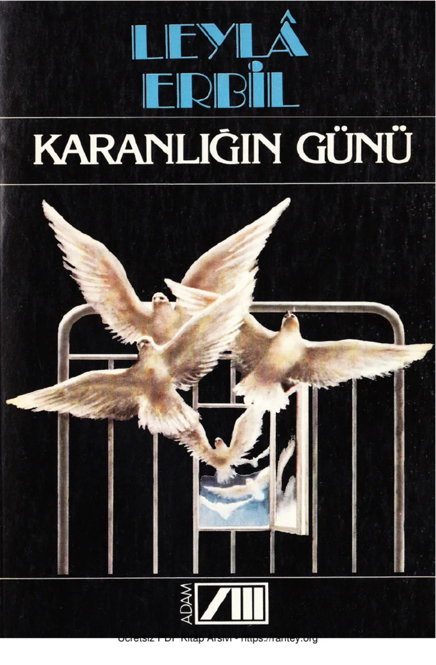 Karanlığın Günü kapak görseli