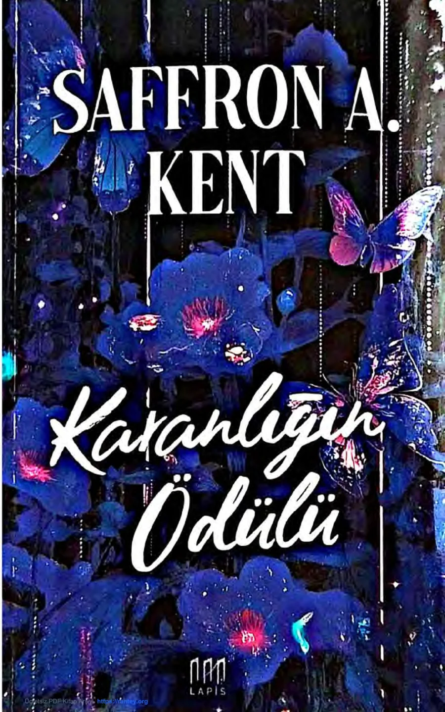 Karanlığın Ödülü kapak görseli
