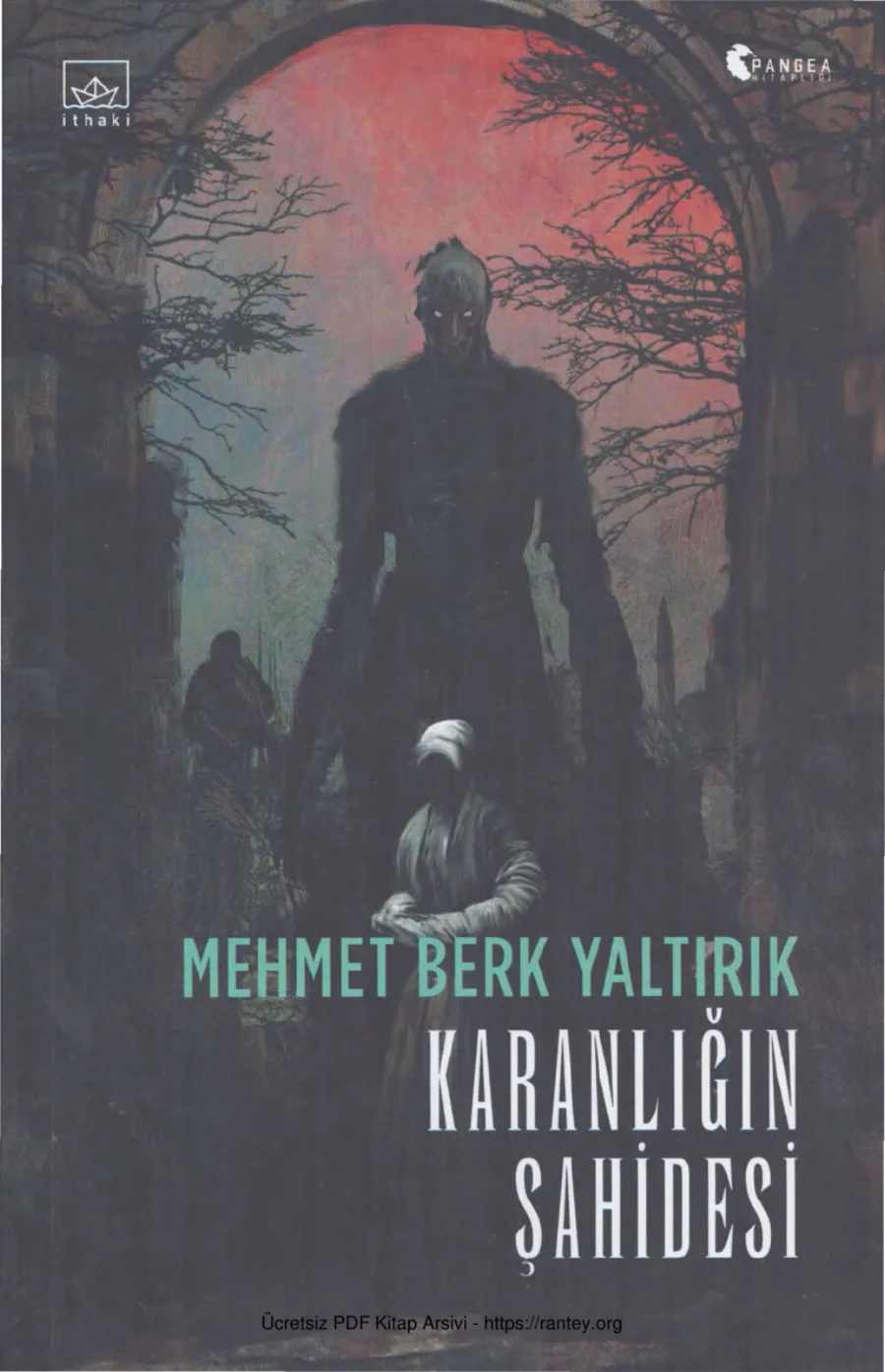 Karanlığın Şahidesi kapak görseli