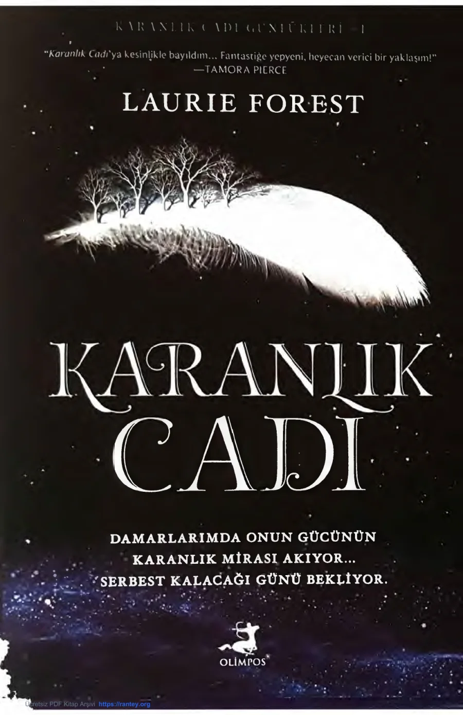 Karanlık Cadı kapak görseli