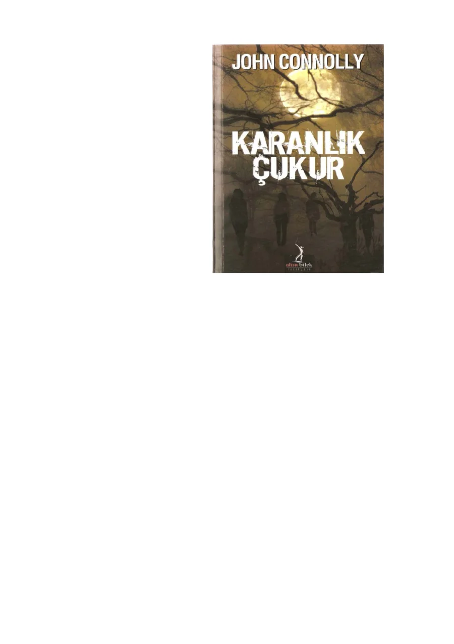 Karanlık Çukur kapak görseli