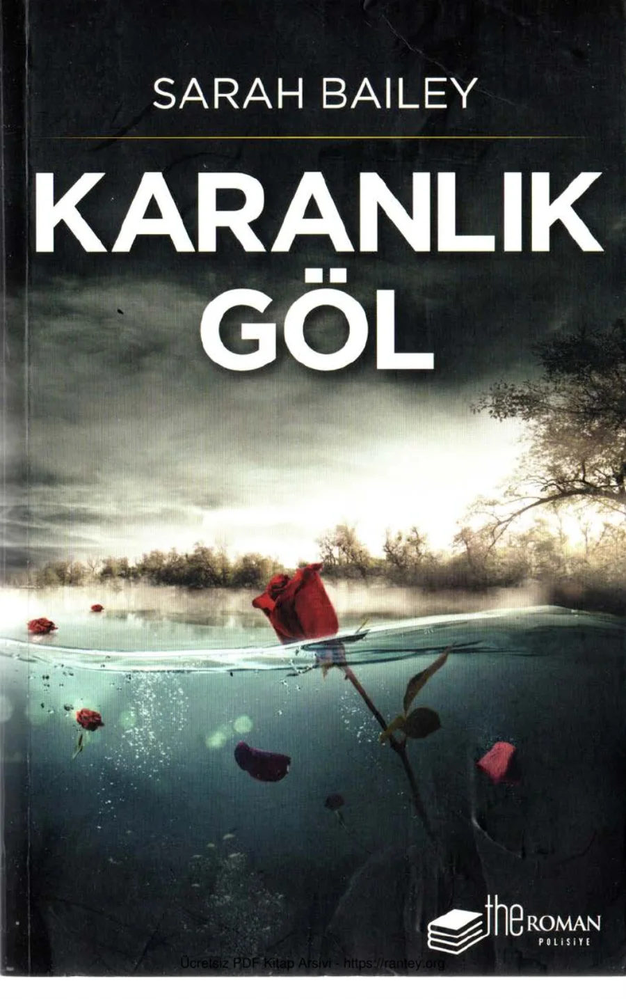 Karanlık Göl The Kitap kapak görseli