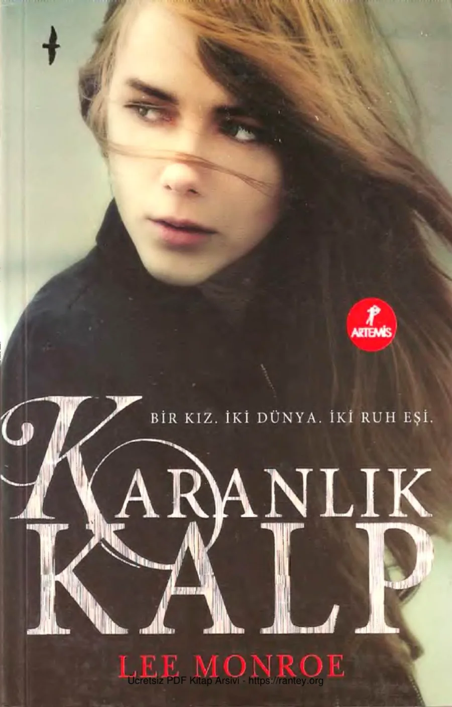 Karanlık Kalp kapak görseli
