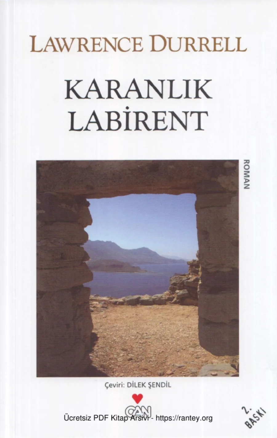 Karanlık Labirent kapak görseli