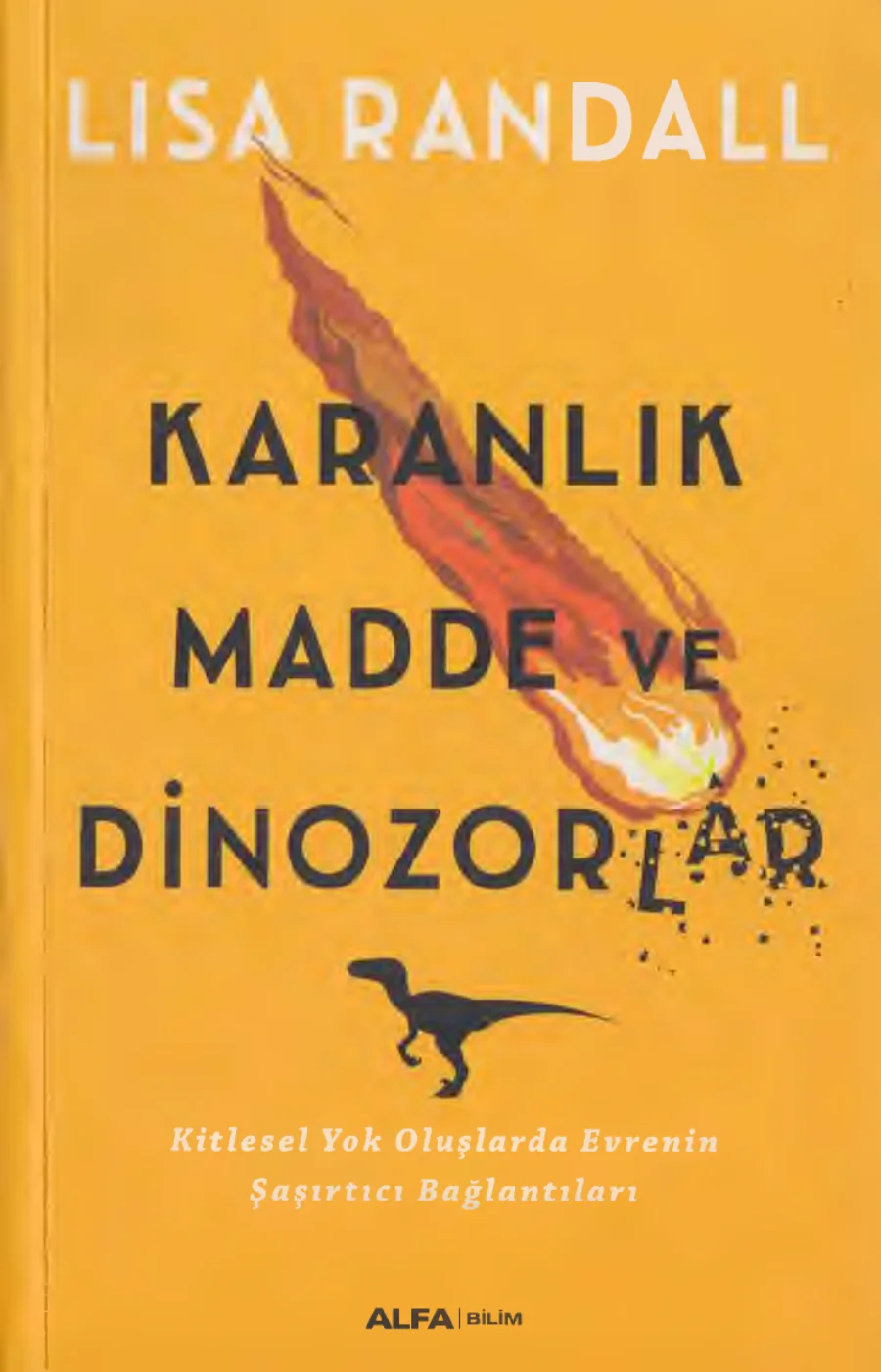 Karanlık Madde ve Dinozorlar kitap kapağı