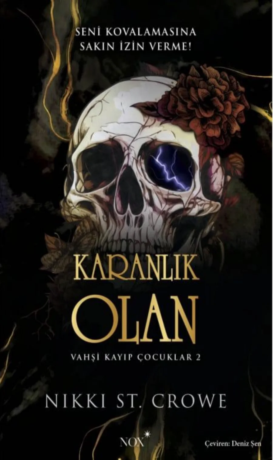 Karanlık Olan kapak görseli