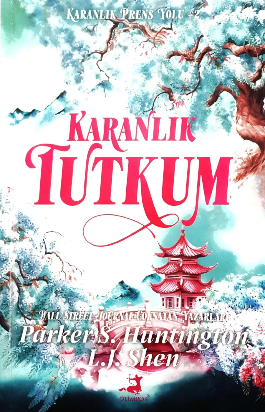 Karanlık Tutkum kapak görseli