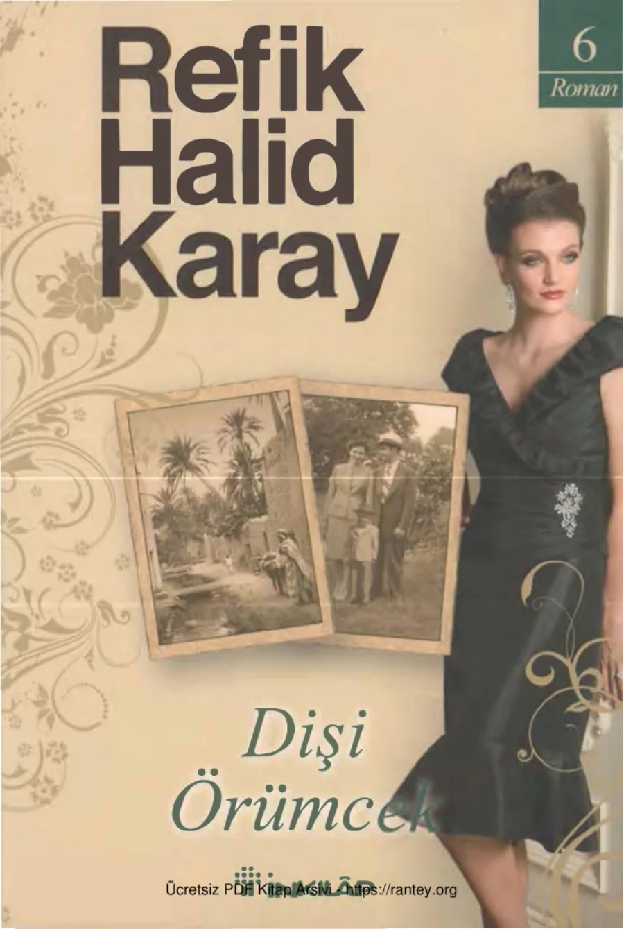 Karay Dişi Örümcek Inkılap Yayınları kapak görseli