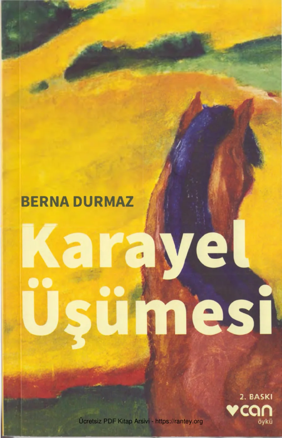 Karayel Üşümesi kapak görseli