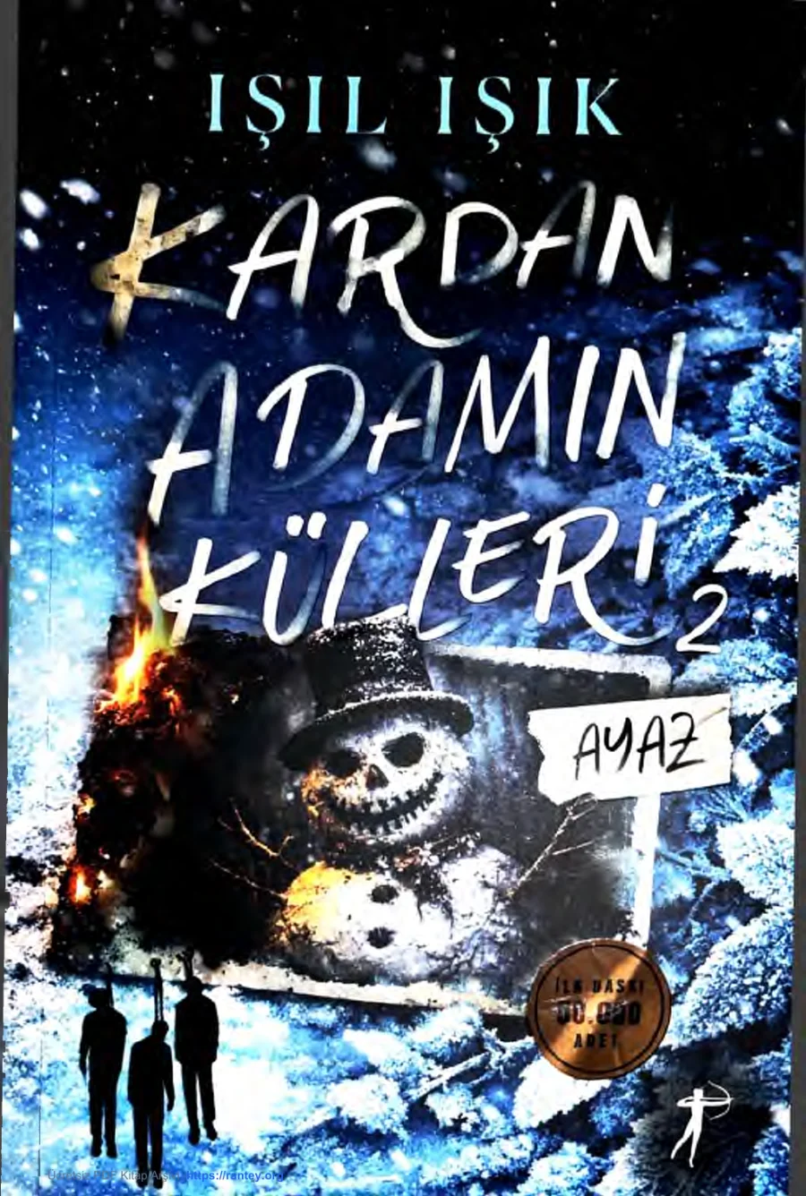 Kardan Adamın Külleri 2: Ayaz kapak görseli