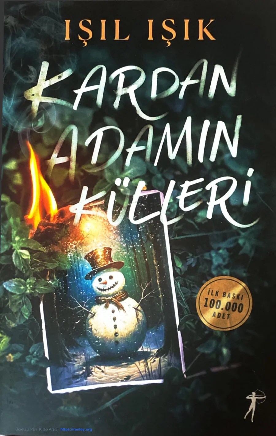 Kardan Adamın Külleri kapak görseli