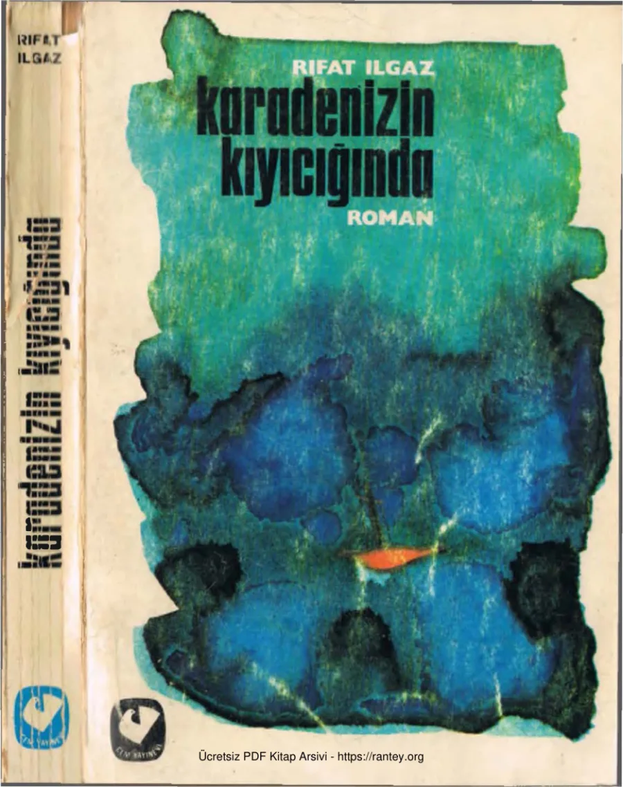 Karedenizin Kıyıcığında kapak görseli