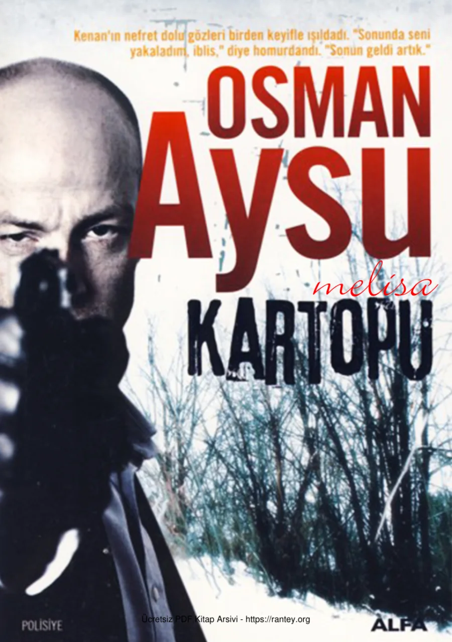 Kartopu kapak görseli