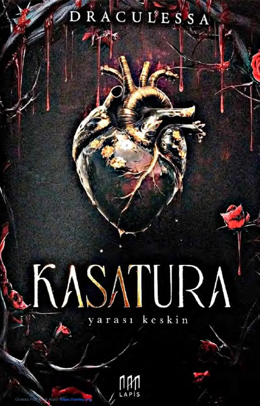 Kasatura: Yarası Keskin kapak görseli